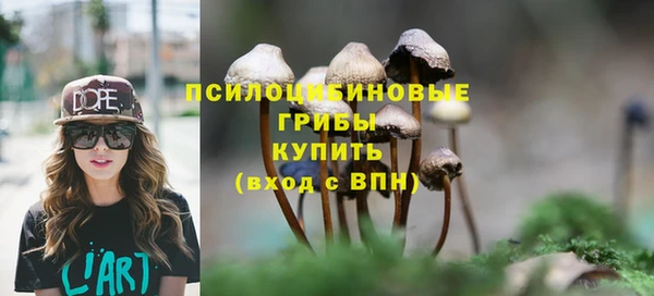 2c-b Алексин