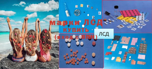 дмт Алзамай
